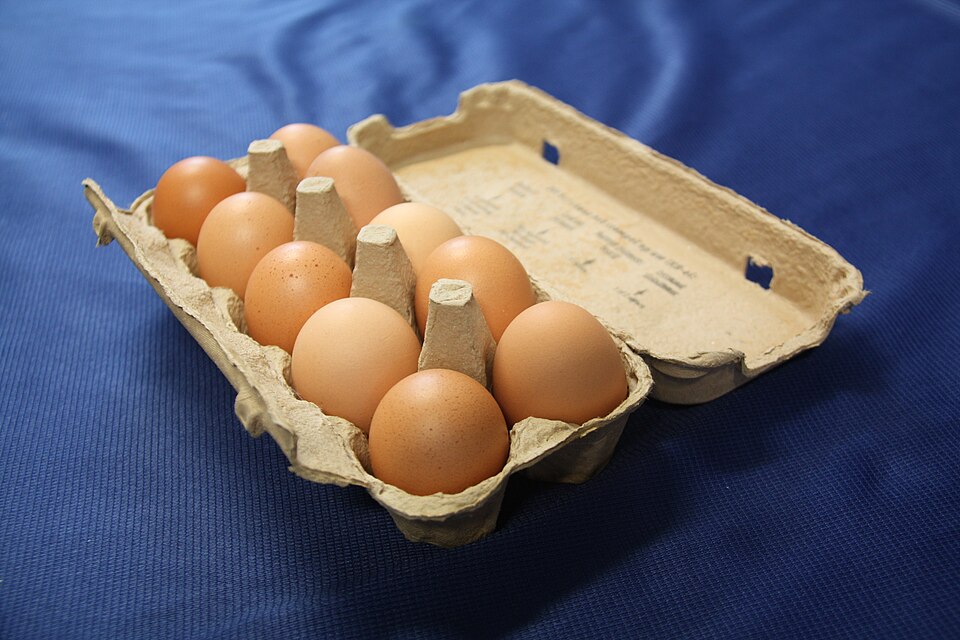 Telur omega dalam kemasan